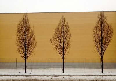 WP_20130226_002.jpg