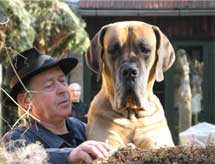 Dogge_Franz.jpg