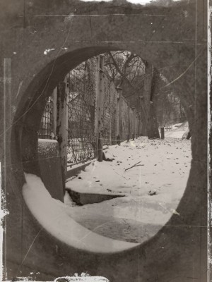 ratebild2013.JPG