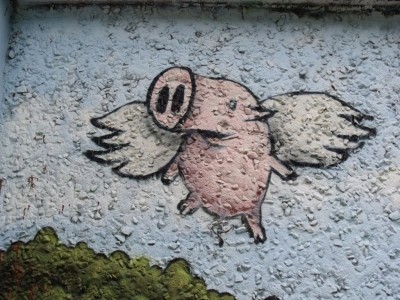 schwein.jpg