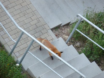 20100920-001.jpg