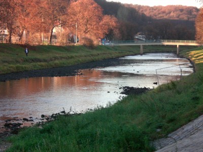 Elster4443.JPG