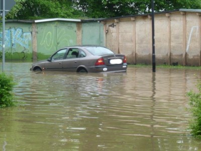 curie001.jpg