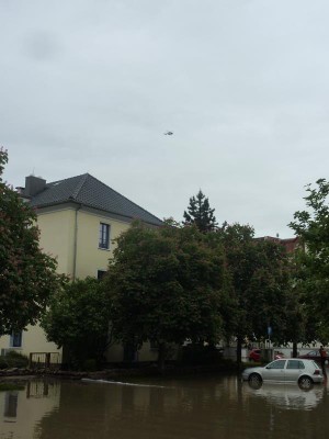 curie007.jpg