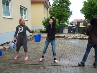 drechsler001.jpg