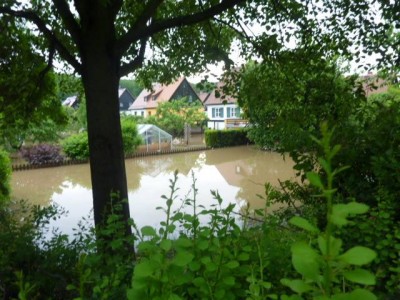 schafwiesen001.jpg