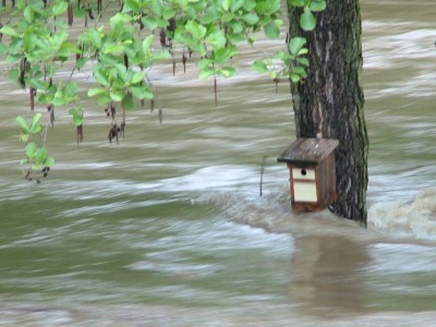 Hochwasserwohnung1300.JPG