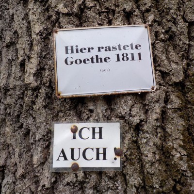 goethe.jpg