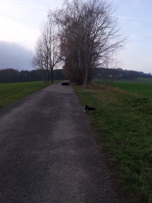 20131116_141443.jpg