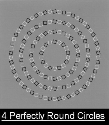 round circles.jpg