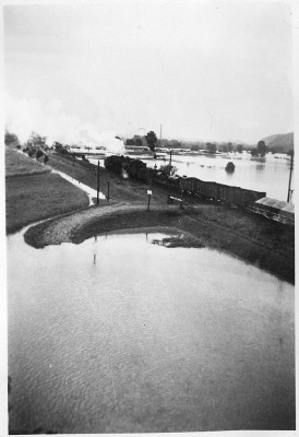 Hochwasser 1954 Milbitz nahe heutigem Tierheim.jpg