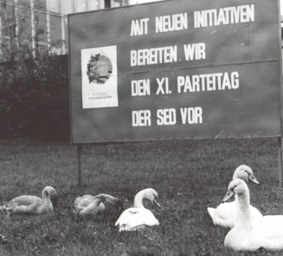 Scan-170409-0001.jpg