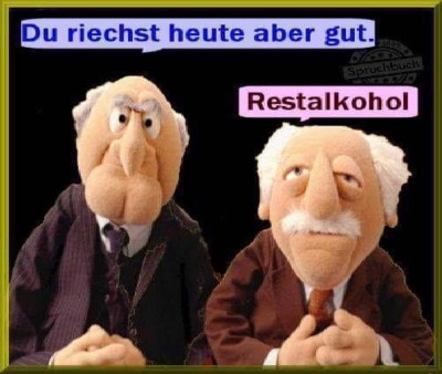 Waldorf und Stadler.jpg