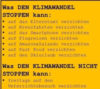 fridayforfuture3.jpg