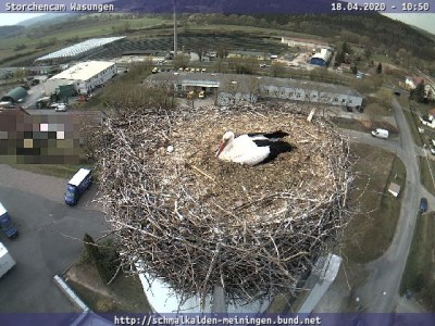 webcam (8).jpg