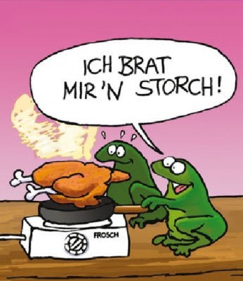 Storch2.jpg