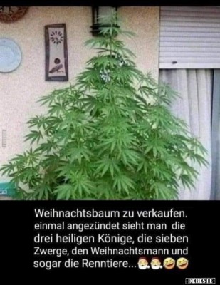 Weihnachtsbaum.jpg