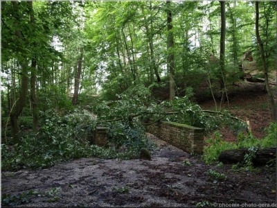 ©Unwetter-Stadtwald 06.jpg