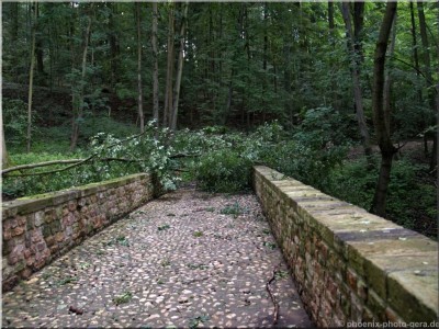 ©Unwetter-Stadtwald 07.jpg