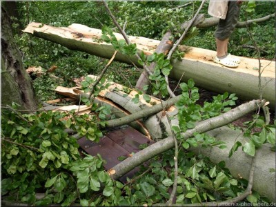©Unwetter-Stadtwald 15.jpg