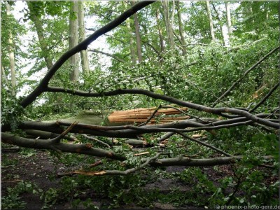 ©Unwetter-Stadtwald 16.jpg