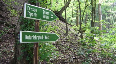 nlp_west_stadtwald.jpg