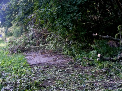 Elsteruferspazierweg 04.jpg