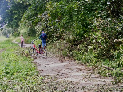 Elsteruferspazierweg 09.jpg