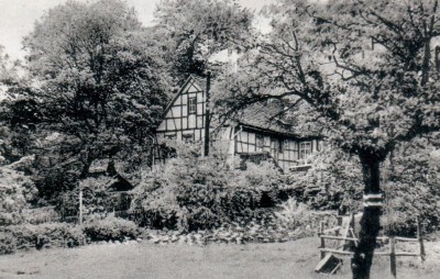 Garten.JPG