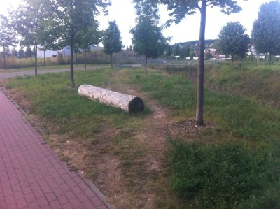 Weg_0631.jpg