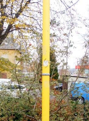 Vogeltest 02.jpg
